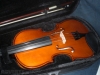 Violin V300
