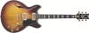 Guitarra electrica Ibanez JSM-100-VT