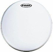 Parche arenado Evans B13G2