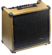 AMPLIFICADOR 60 WATTS - 2 ENTRADAS (CANON-PLUG) - DISTORSION - REVERB