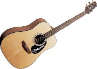 Guitarron acustico G320