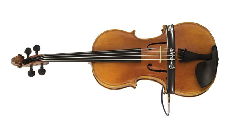 Bellafina Electric 50 Viola 15 inch outfit