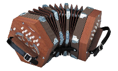 Hohner D40 Concertina