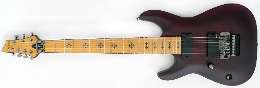 Jeff Loomis 7 FR - Guitar